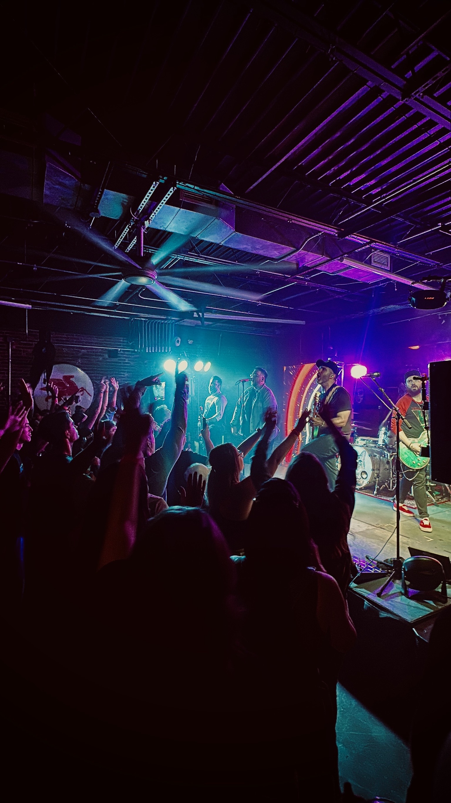 Turtle Smash – crowd energy
